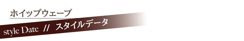 ホイップウェーブ