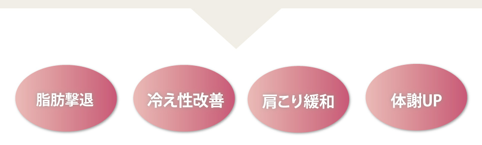 「高周波」と「溶かし・ほぐし」Wで脂肪撃退！