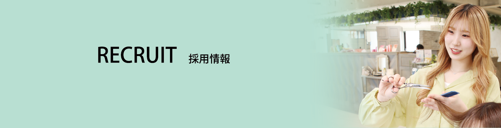 採用情報