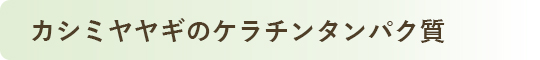 カシミアヤギのケラチンタンパク質