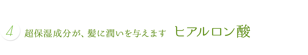 超保湿成分が、髪に潤いを与えます ヒアルロン酸